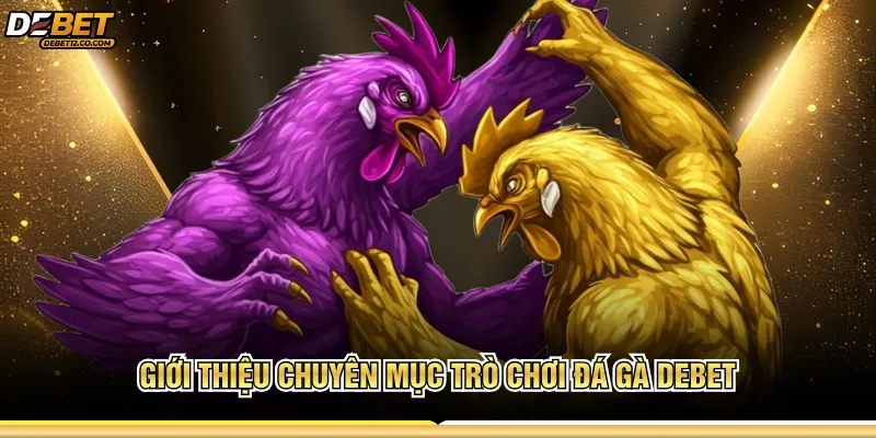 Giới thiệu chuyên mục trò chơi đá gà Debet  