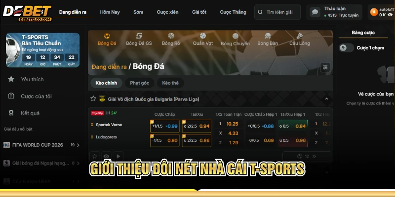 Giới thiệu đôi nét nhà cái T-Sports