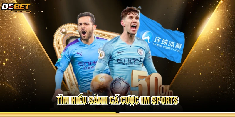 Tìm hiểu sảnh cá cược Im Sports 
